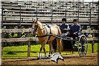 4H-2nd-071214-1303.jpg
