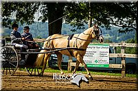 4H-2nd-071214-1340.jpg