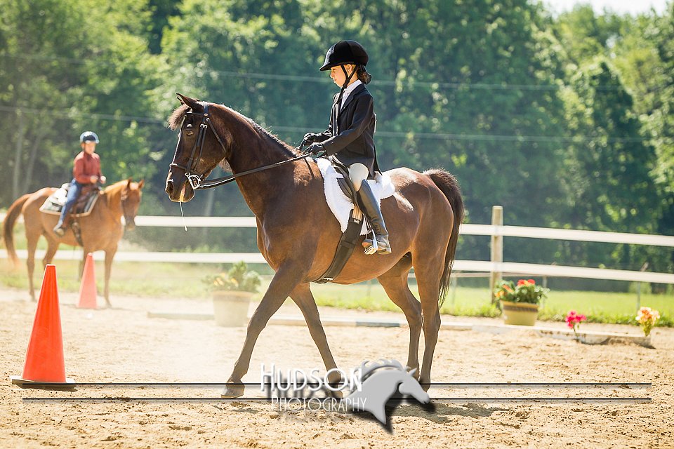 4H-2nd-071214-1417.jpg