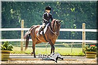 4H-2nd-071214-1410.jpg