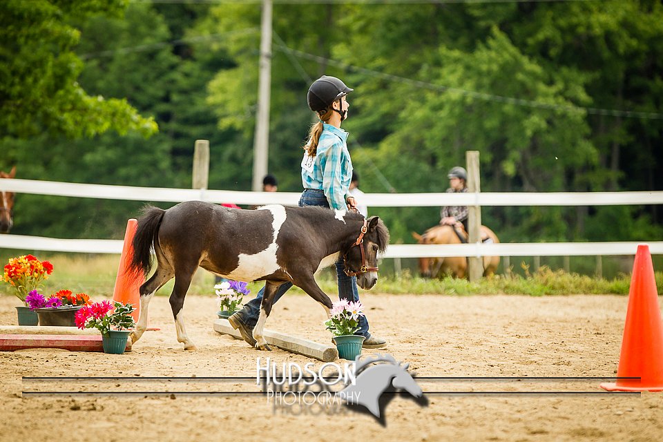 4H-2nd-071214-1530.jpg