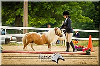 4H-2nd-071214-1514.jpg