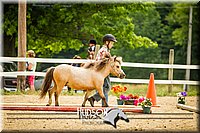4H-2nd-071214-1568.jpg