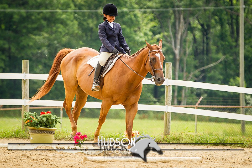 4H-2nd-071214-1620.jpg