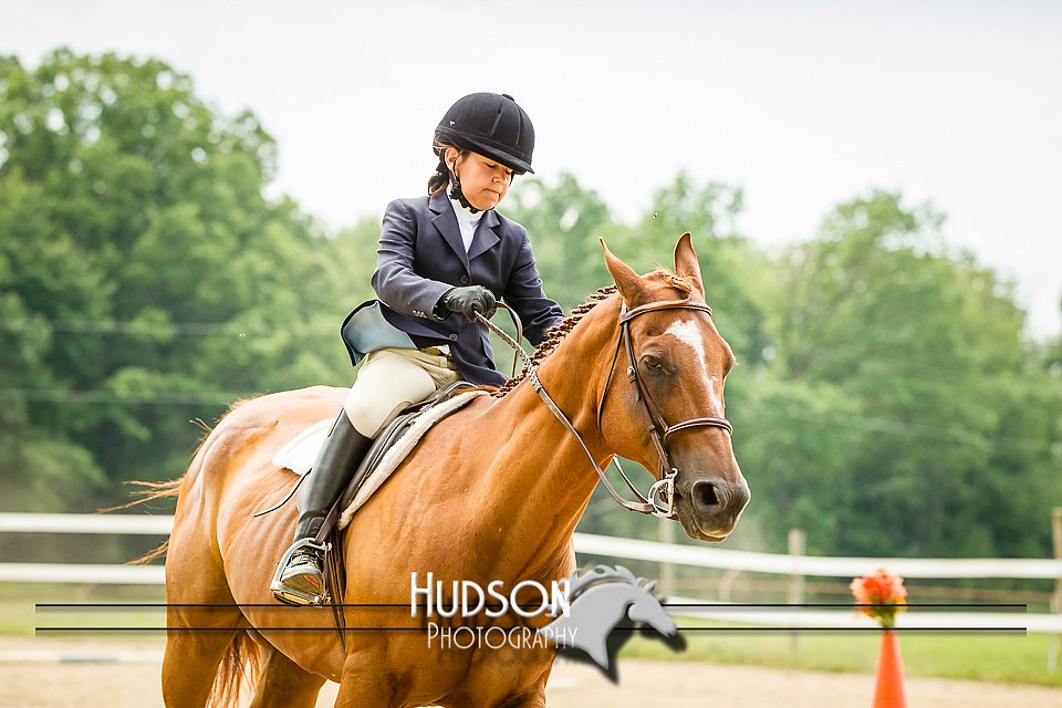4H-2nd-071214-1627.jpg