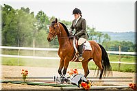 4H-2nd-071214-1598.jpg