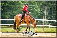 4H-2nd-071214-1607.jpg