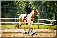 4H-2nd-071214-1649.jpg