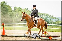 4H-2nd-071214-1698.jpg