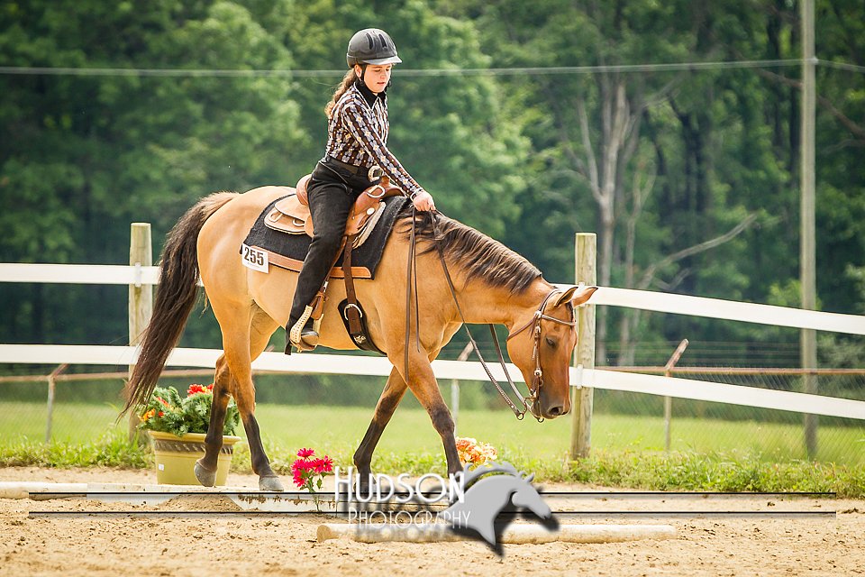 4H-2nd-071214-1733.jpg