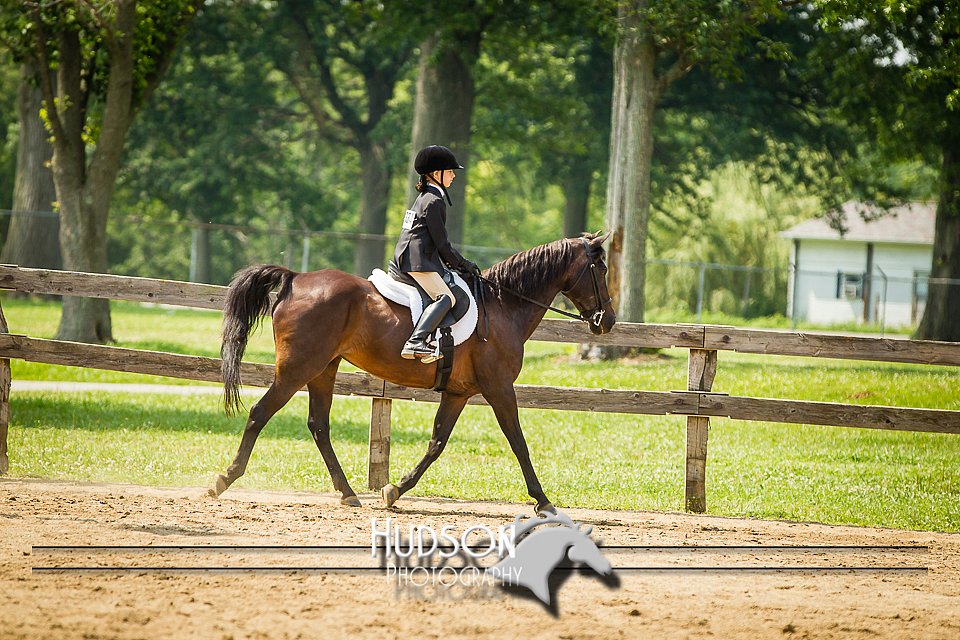 4H-2nd-071214-2170.jpg