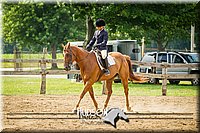 4H-2nd-071214-2283.jpg