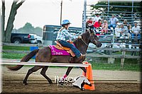 10. Raised Box Keyhole Horse - Jr. Rider