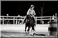 14. Clover Leaf Barrels Ponies -Jr. rider