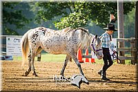 20. Western Grooming & Showmanship -Jr. Division