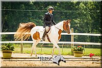 33. Open Trail Horses, Sr. Rider