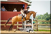 36. Hunter Hack Ponies (14.2 Hds. & Under)