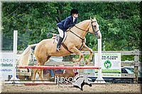 38. Low Working Hunter Horses