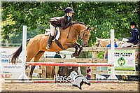 39. Hunter Seat Equitation (over fences), Sr. Rider