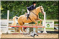 41. Low Equitation Over Fences - Sr. Rider