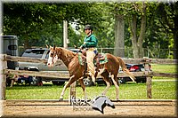 47. Western Pleasure Horses, Sr. Rider