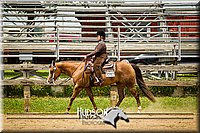 50. Western Pleasure Pony (over 13 hds. & not over 14.2 hds.)