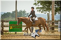 55. Breed Type Hunter Under Saddle Horses - Sr. Rider