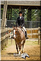 57. Breed Type Hunter Under Saddle Horses - Jr. Rider