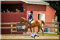 59. Hunter Under Saddle Ponies - (over 13 hds. & not over 14.2 hds.)