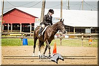 66. Beginner English Equitation