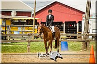 67. Hunter Seat Equitation (on the flat) - Sr. Division