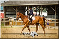 69. Hunter Seat Equitation (on the flat) - Jr. Division