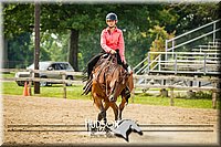 70. Novice Reining