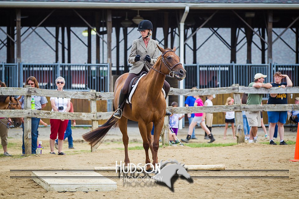 4H-3rd-080214-1558.jpg