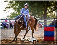 04. Clover Leaf Barrels Horse - Jr. Rider