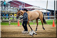 19. Western Grooming & Showmanship -Intermediate Division