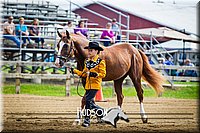 20. Western Grooming & Showmanship -Jr. Division