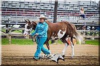 00. Master Showmanship