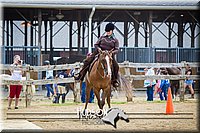 32. Open Trail Ponies (14.2 Hds. & Under)