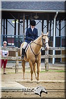 33. Open Trail Horses, Sr. Rider