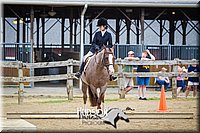 34. Open Trail Horse, Jr. Rider