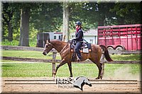 48. Western Pleasure Horses, Jr. Rider