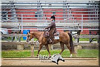 50. Western Pleasure Pony (over 13 hds. & not over 14.2 hds.)