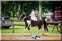 52. Saddle Seat Pleasure, Non-trotting