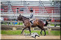 54. Classic Hunter Under Saddle Horses - Sr. Rider