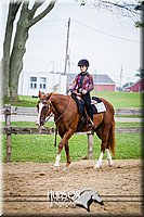 62. Beginner Western Horsemanship