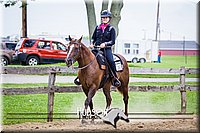 64. Western Horsemanship, Intermediate