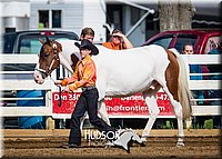 4H-District-090714-1119.jpg