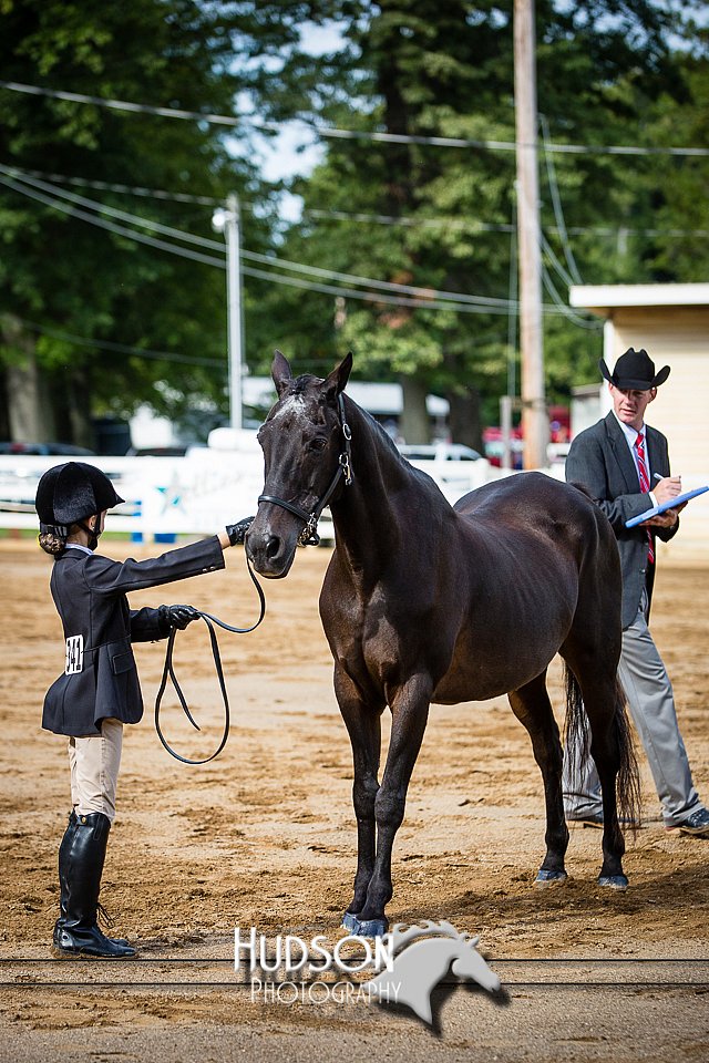 4H-District-090614-0157.jpg