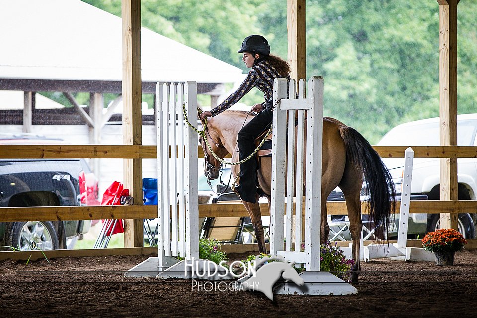 4H-District-090614-0472.jpg